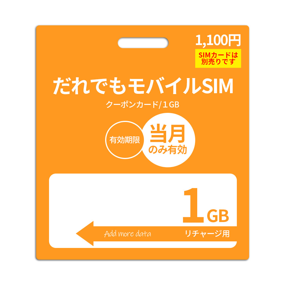 1GBデータ容量追加(当月有効)