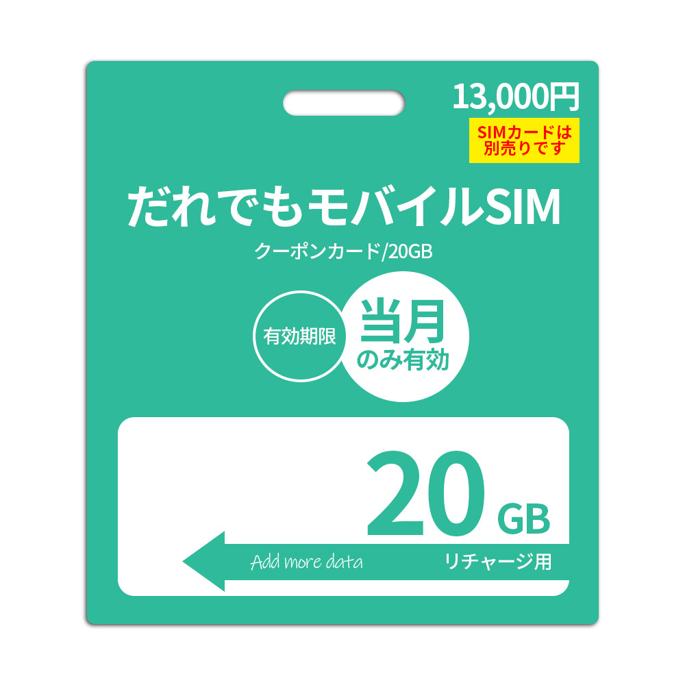 20GBデータ容量追加(当月有効)