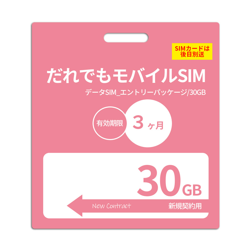 【審査なしSIM】30GB データSIM_初期費用(新規契約時のみ)