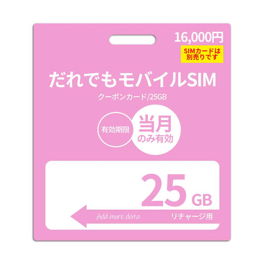 25GBデータ容量追加(当月有効)